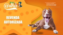 Seja uma revenda on-line com loja virtual e produtos + aplicativo Android